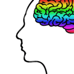Brain