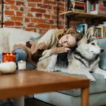 pets