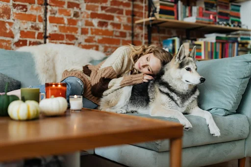 pets
