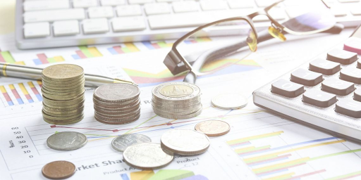 Brut en Net Salary Calculator
