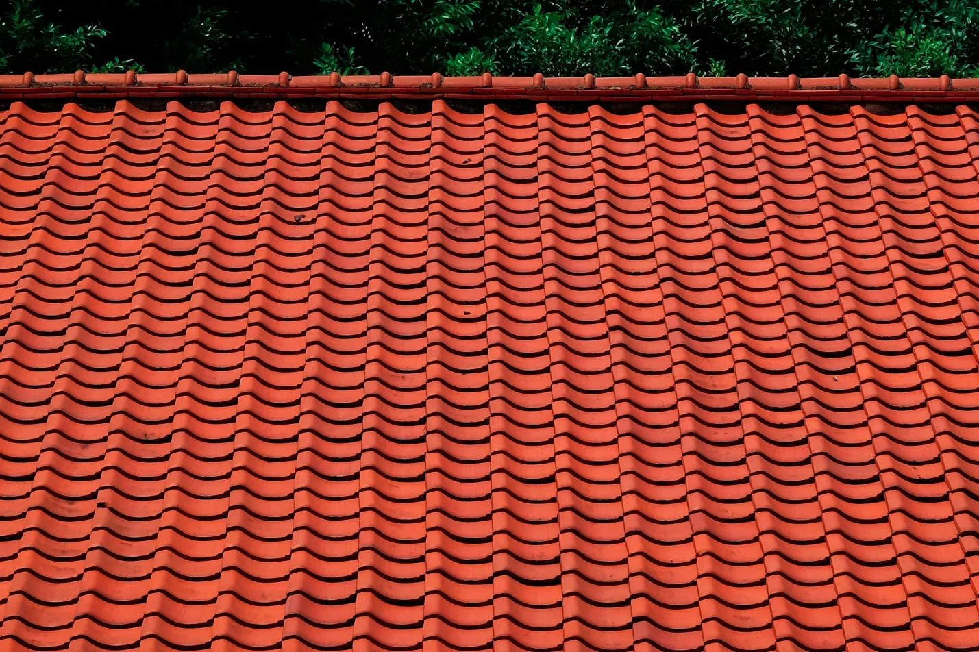Roof Over