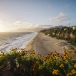 El Segundo