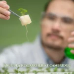 arugula researcher at cambridge