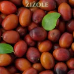 žižole
