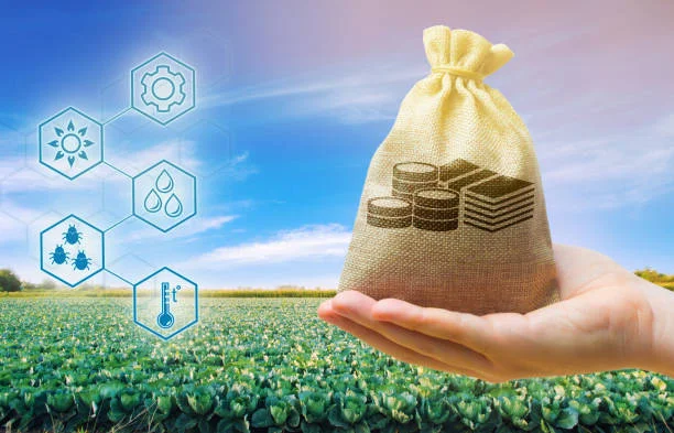Agricultural loans