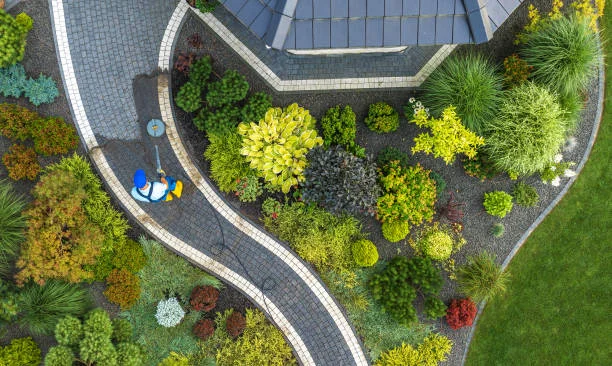 Professional Landscaping