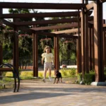 pergola