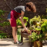 Weekly garden routine