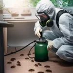 Pest Prevention