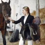 Horse Supplies