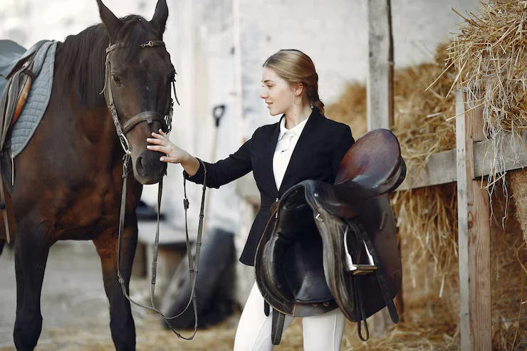 Horse Supplies