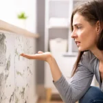 Mold Risks After Flooding