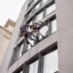 Professional window services