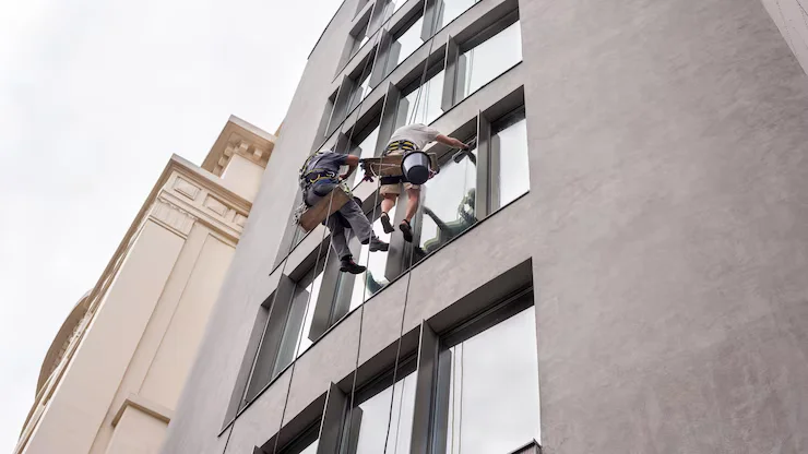 Professional window services