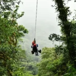 Soaring over the jungle