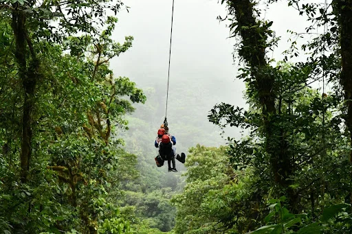 Soaring over the jungle