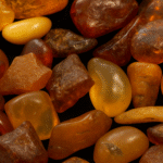 Polished Baltic Amber