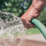 Soft Washing 101