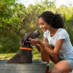Buying A Dog