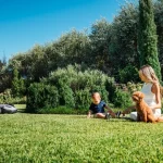 Smart garden