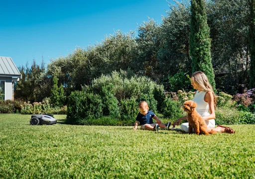 Smart garden