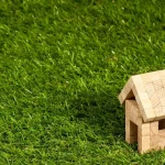 grass healthy