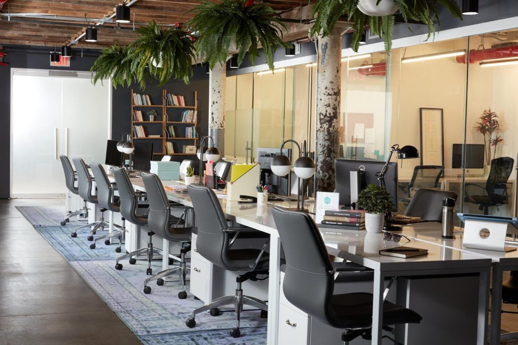 Shared Office Setting