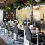 Shared Office Setting