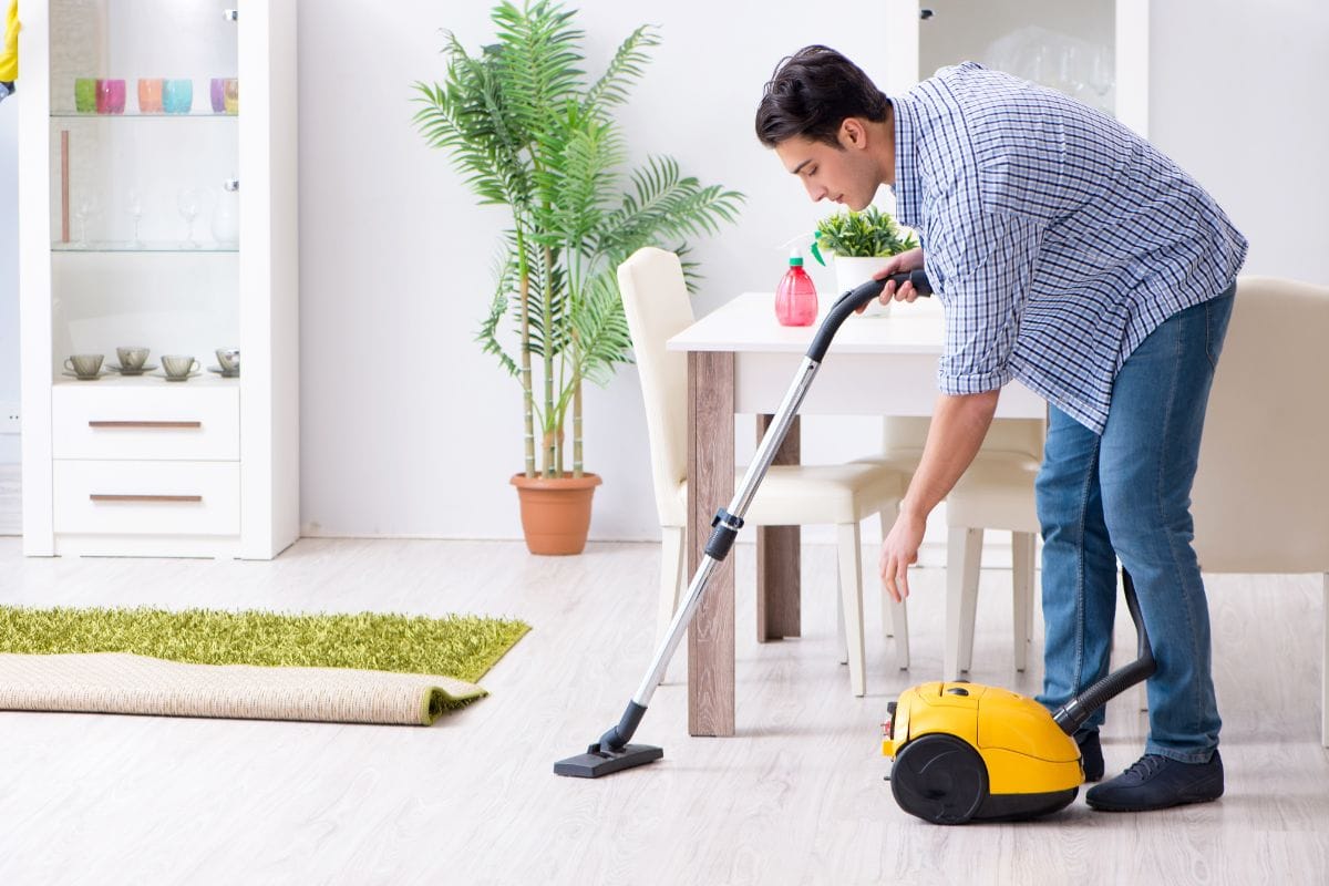 Common Indoor Allergen Sources