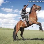 horseplop