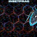 insetprag