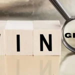 giniä