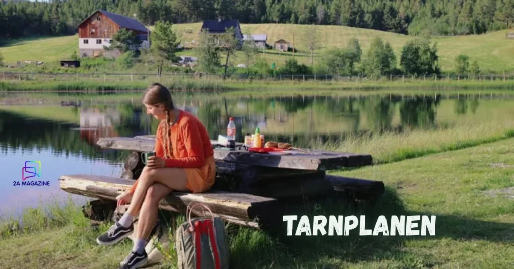 tarnplanen