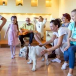 Dog Daycare