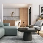 Luxury Apartment