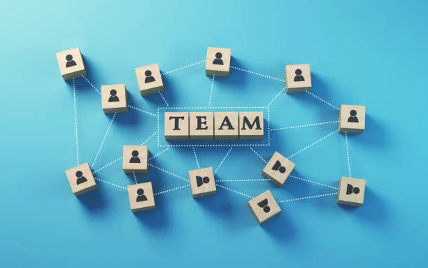 IT team