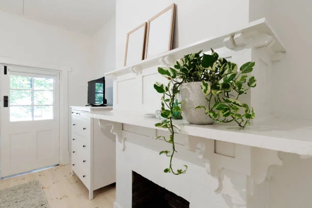 Wallpaper Trends