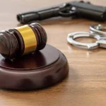 Murder Lawyer