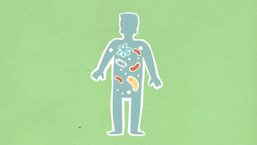 Gut Health