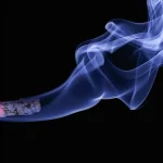 Nicotine pouches