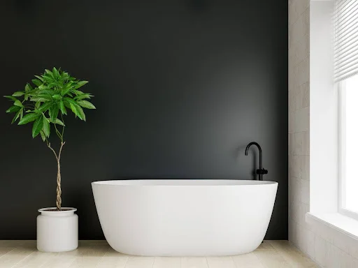 Bathroom Paint