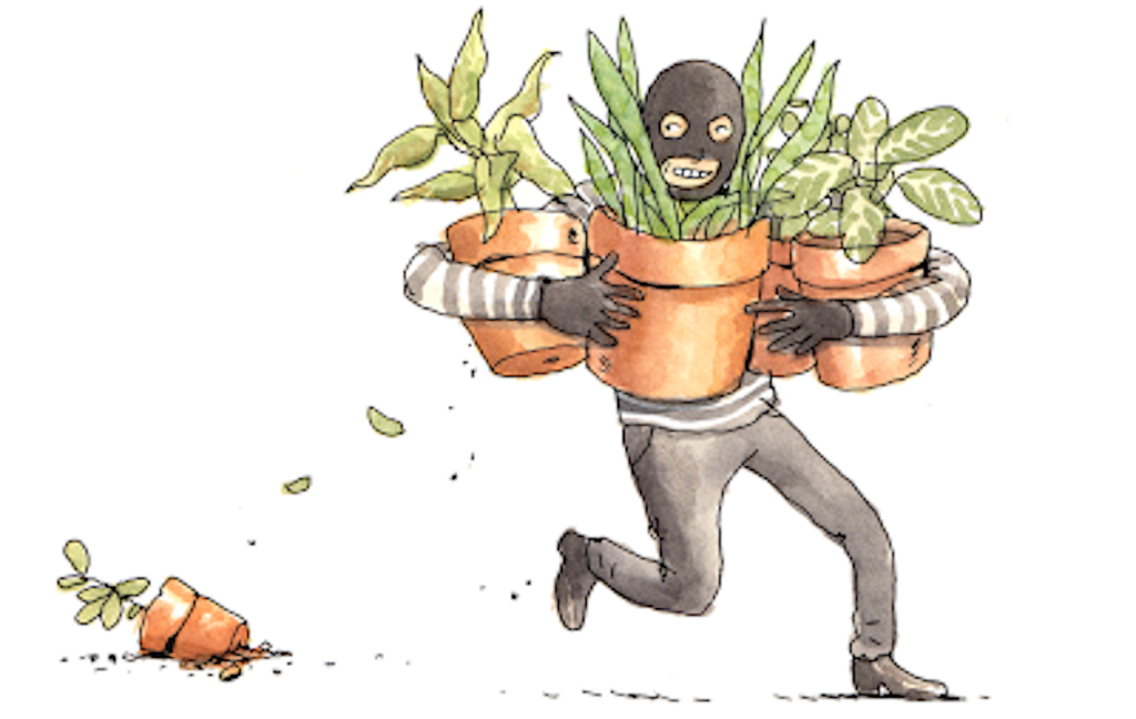 Keeping Plant Thieves Away