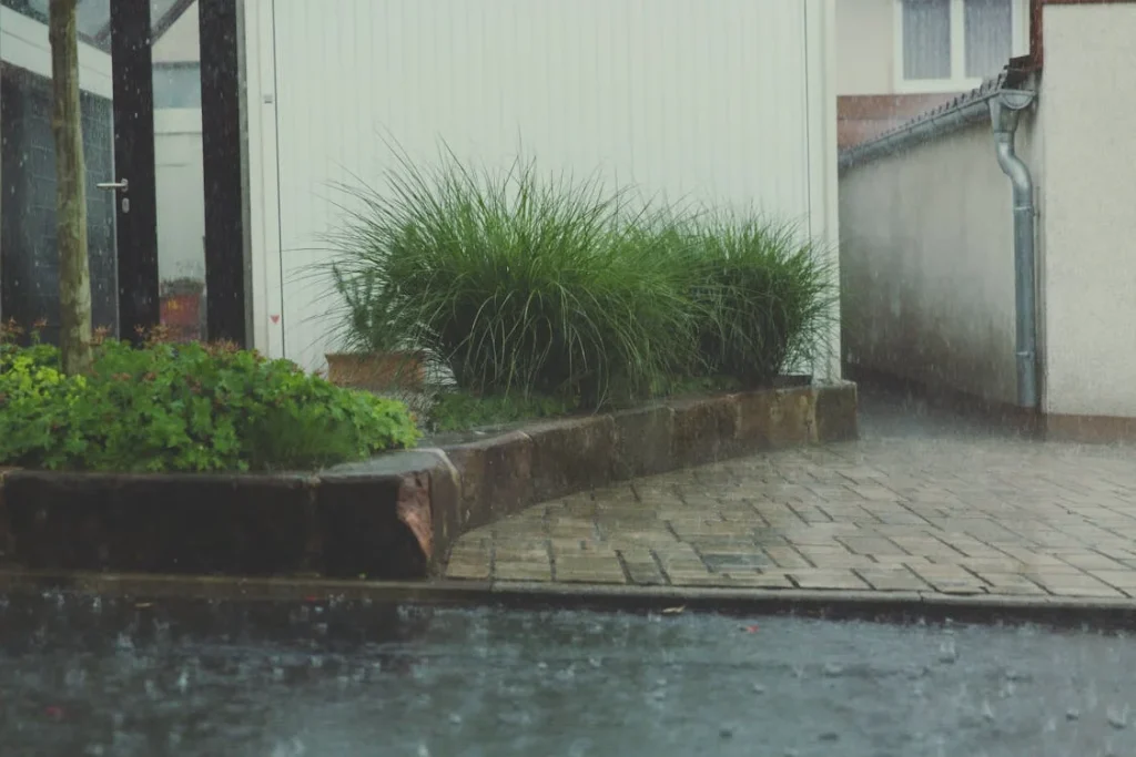Water Damage