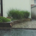 Water Damage