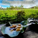 highlights of nummazaki