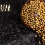 Insoya