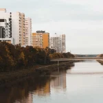 Real Estate Search