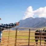 ranch ownership