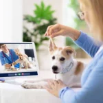 Veterinarian Online