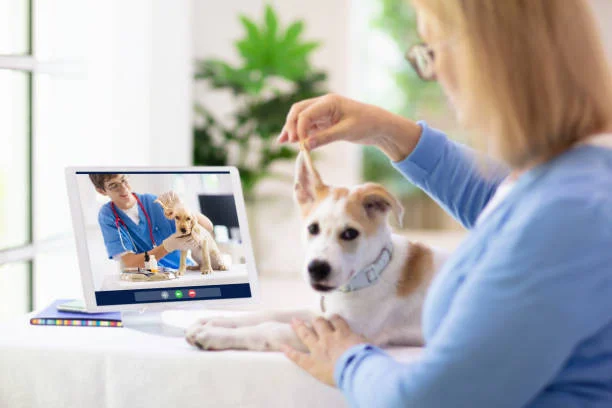 Veterinarian Online